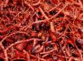 cut madder roots - red colours - natural dyes
