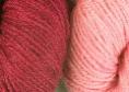cochineal natural dye extract | Wild Colours natural dyes