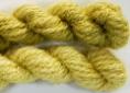 Goldenrod natural dye extract | Wild Colours natural dyes