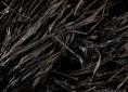 Raffia dyed black with logwood extract & persian berry extract | Wild Colours natural dyes