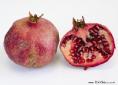 pomegranate fruit | Wild Colours natural dyes